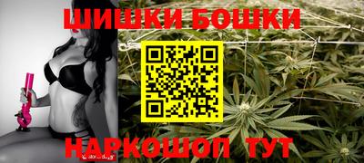 крисы Кингисепп