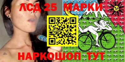 спиды Кимры