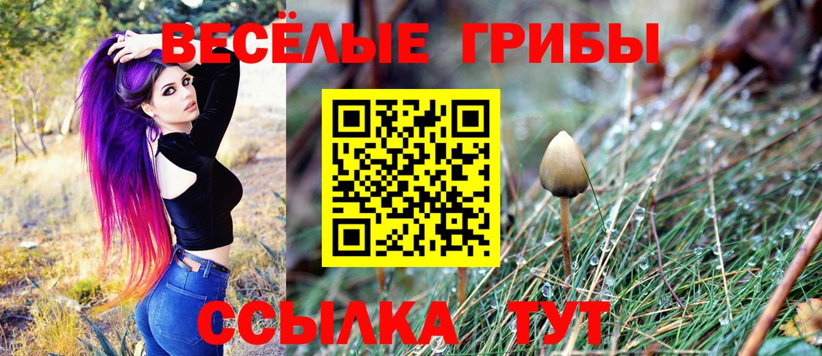 продажа наркотиков  Псилоцибиновые грибы Cubensis  Ялта  Вход с VPN  Псилоцибиновые грибы ЛСД 